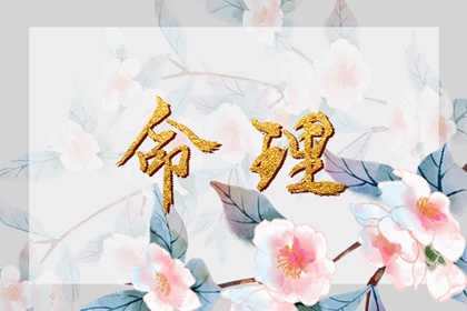 民间老黄历 黄历年黄道吉日 黄历大全